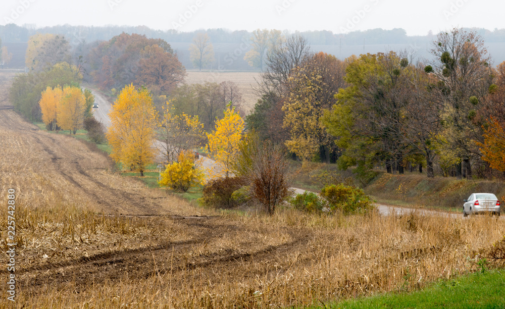 Fototapeta premium Road with cars between autumn trees and harvested fields. Misty autumn landscape.