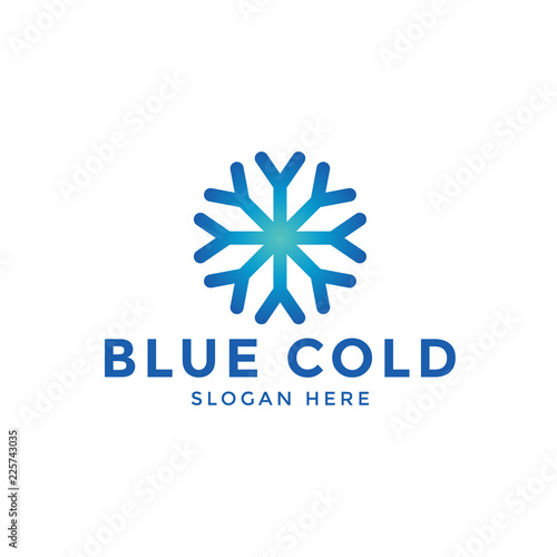 Snowflake cold logo icon design template vector