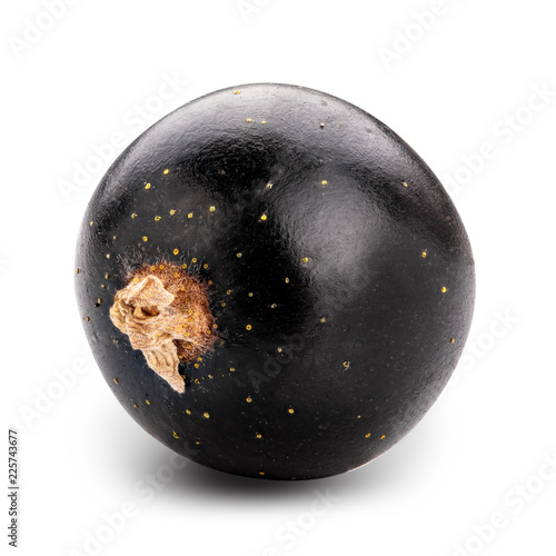 Wallpaper Mural Fresh blackcurrant isolated on white background. Clipping path Torontodigital.ca