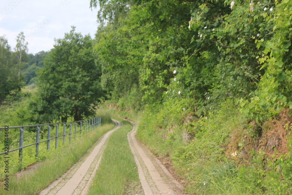Fototapeta premium Wanderweg Traben-Trarbach - Bernkastel 