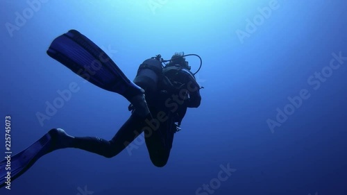 Wallpaper Mural divers in french Polynesia Torontodigital.ca