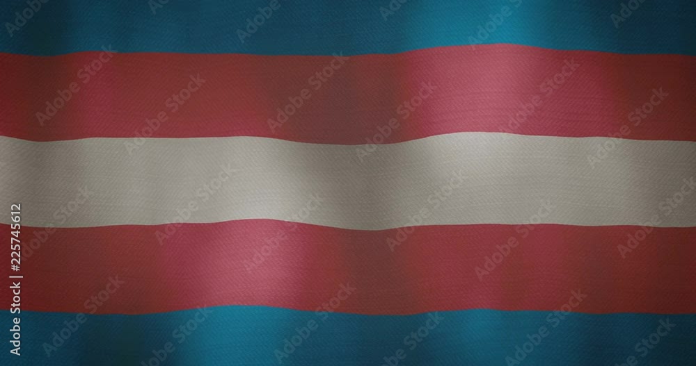 transgender flag fabric texture waving in the wind. transgender flag fabric texture waving in the wind.