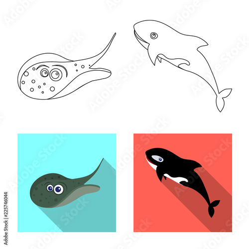 Vector illustration of sea and animal symbol. Collection of sea and marine stock symbol for web.