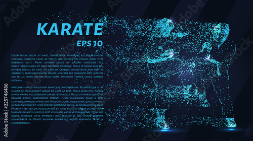 Karate of particles. Karate consists of small circles.