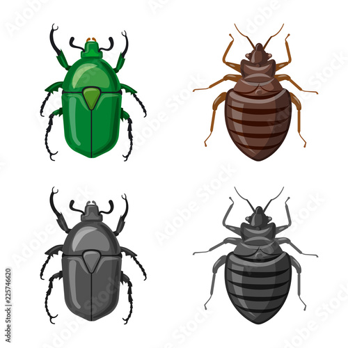 Isolated object of insect and fly icon. Set of insect and element vector icon for stock.