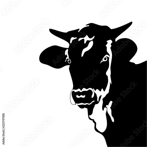 silhouette of fierce bull black and white. Bull head closeup