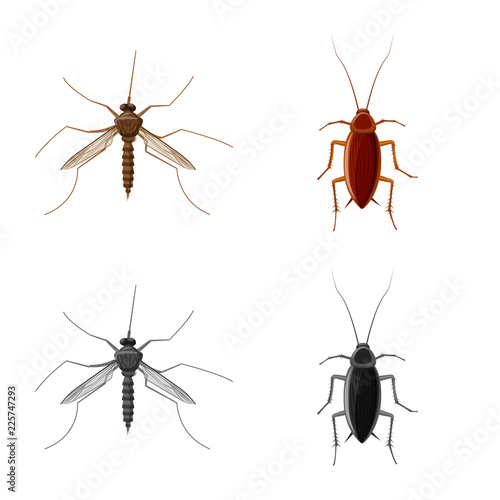 Vector design of insect and fly icon. Collection of insect and element vector icon for stock.