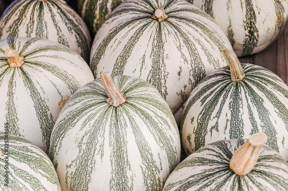 Foto de Kürbis, Pepita, Cucurbita argyrosperma, Speisekürbis, Rohkost