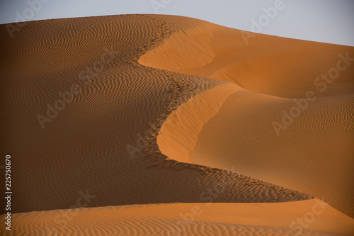 Fototapeta Naklejka Na Ścianę i Meble -  Sand dunes in Abu Dhabi