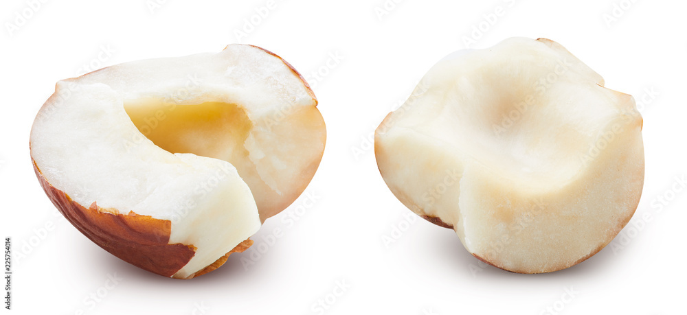 Hazelnut isolated Clipping Path Hazelnut isolated Clipping Path