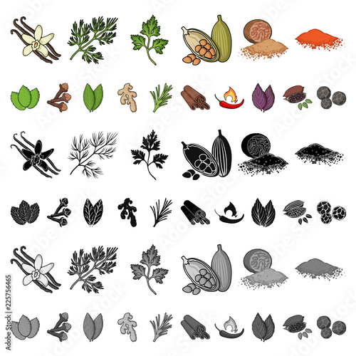 Herb and spices cartoon icons in set collection for design.Different kinds of seasonings vector symbol stock web illustration.