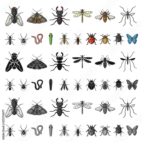 Different kinds of insects cartoon icons in set collection for design. Insect arthropod vector symbol stock web illustration.