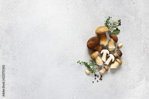 Vászonkép Organic porcini mushroom