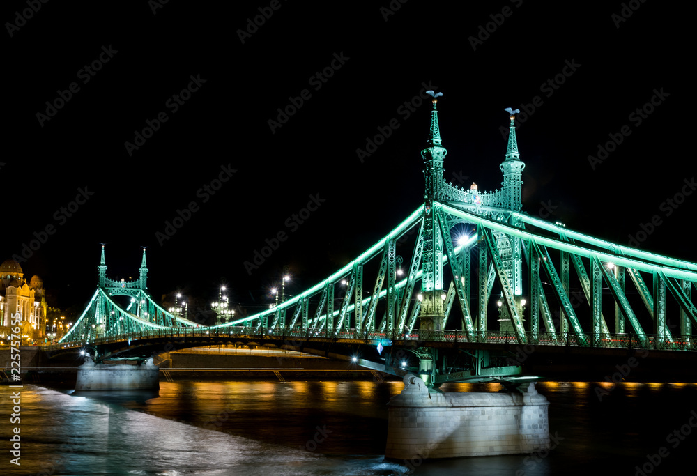 Obraz premium Liberty Bridge in Budapest