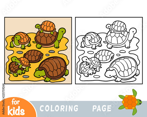 Coloring book, Seven tortoises