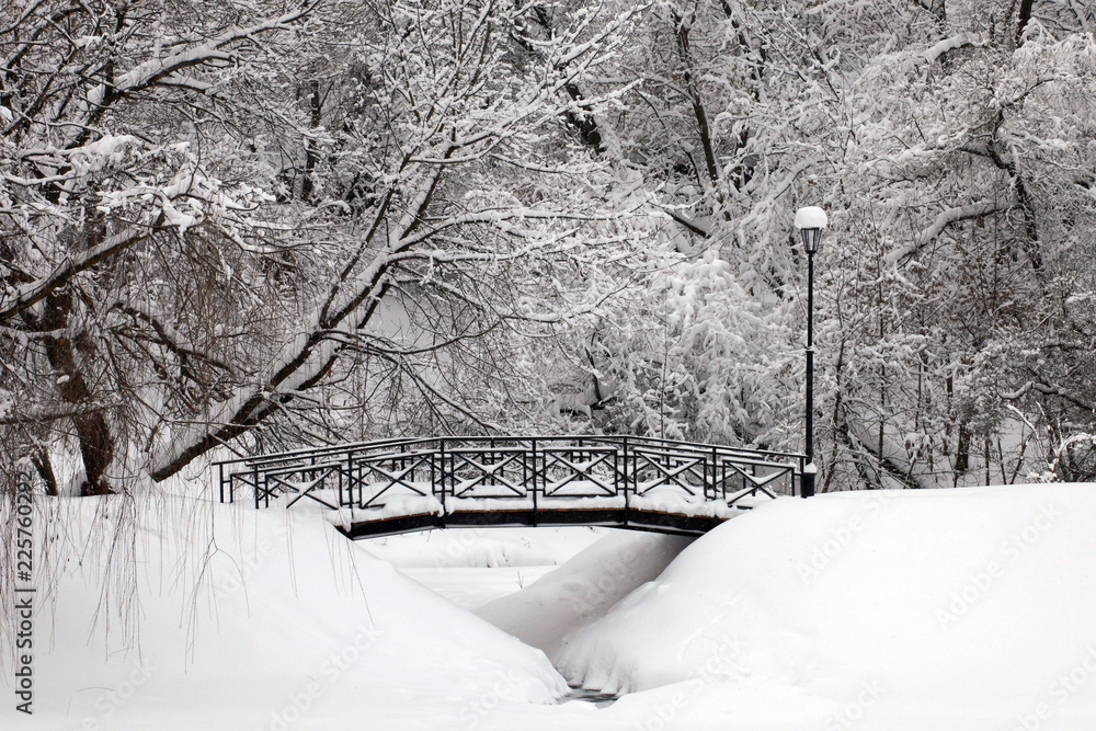 Ταπετσαρία Snow-coverd twigs of trees over bridge and snowbound river with snowdrifts by ri