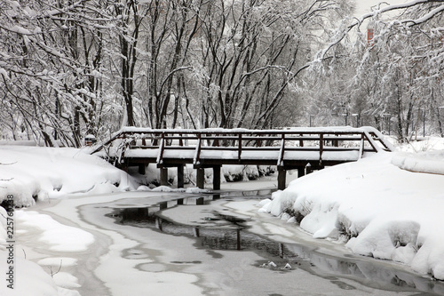 Foto View of icebound river going among snow-covered river shores and snowbound trees