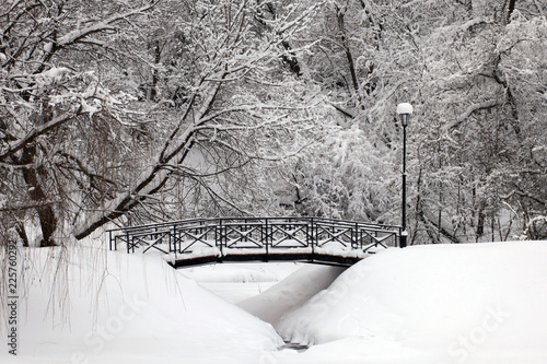 Fényképezés Snow-coverd twigs of trees over bridge and snowbound river with snowdrifts by ri