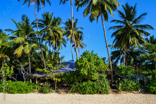 Mirissa Beach Sri Lanka © Jakob