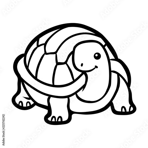 Coloring book, Tortoise