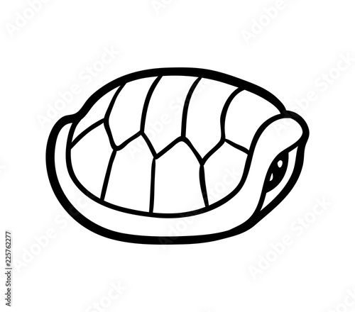 Coloring book, Tortoise