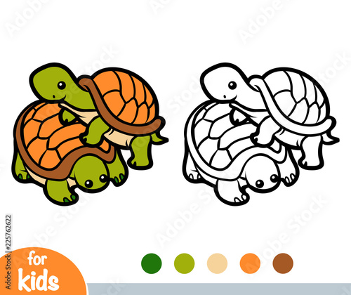 Coloring book, Two tortoises