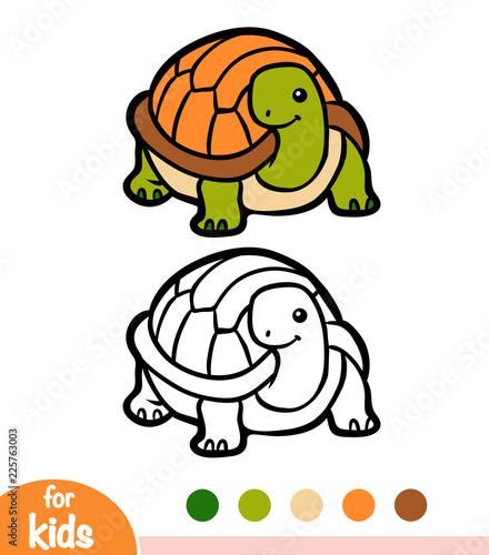 Coloring book, Tortoise