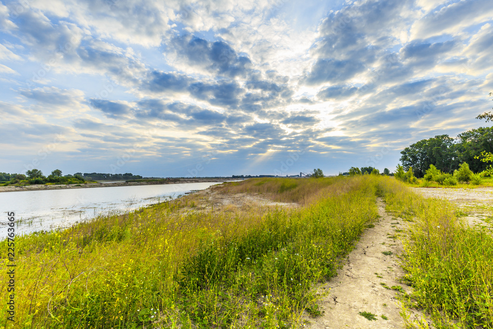 Fototapeta premium Shore with dead rapeseed plants along extension overflow basin along river Maas in nature reserve Millingerwaard in the Dutch province of Gelderland against blue sky with clouds