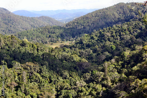 Amazing view in Kondalilla National Park photo