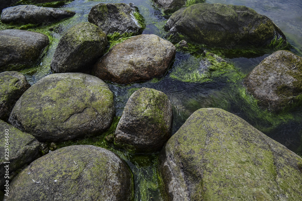 stones and moss in the water