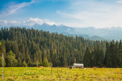 Obraz na płótnie Worth of discover typical view Pieniny region over tatras mountain background w salonie