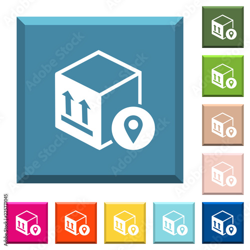 Package tracking white icons on edged square buttons