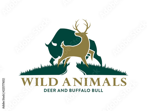 Deer and Buffalo symbols in the wild