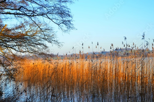 the golden hour in naature