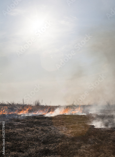 Fotografie Fire in the field