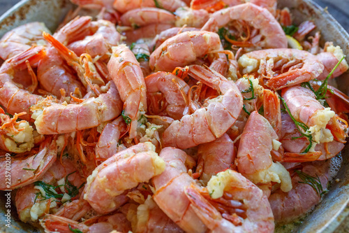 Grilled large shrimps with dill and garlic close-up photo