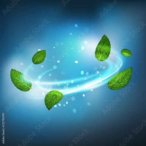 3D realistic isolated vector vortex of mint leaves