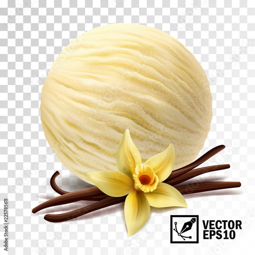 Realistic vector vanilla ice cream scoops (vanilla flower and sticks)