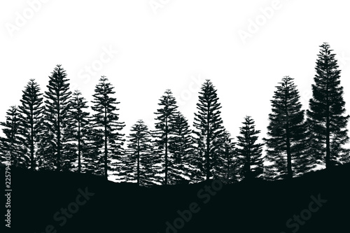 Pine Tree Forest Silhouette Isolated Oon White Background
