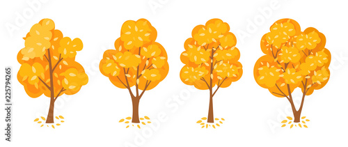Autumn trees set