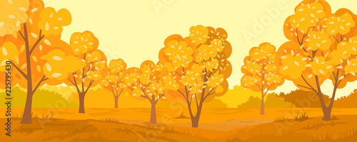 Autumn rural landscape. Autumn forest