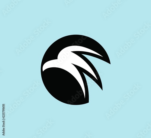 Abstract Eagle Logo, art vector design