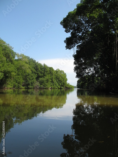 Reflection over water of the lagoon in Tacarigua national Park, Miranda state Venezuela photo