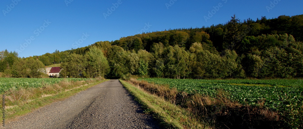Naklejka premium Polna, szutrowa droga do małej polskiej wsi, agroturystyka