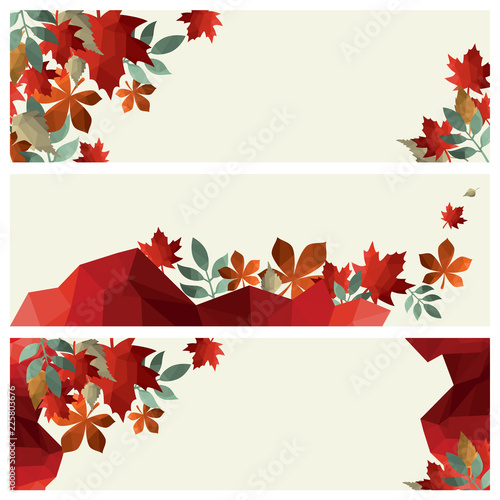 Vector autumn leaves