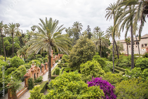 Real Alcazar Gardens in Seville Spain