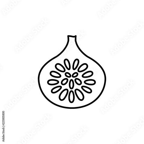 Black & white vector illustration of cut fig fruit with seeds. Line icon of fresh anjeer. Vegan & vegetarian food. Health eating ingredient. Isolated object