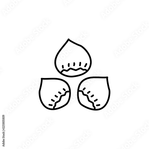 Black & white vector illustration of hazelnut with shell. Line icon of nut of hazel. Vegan & vegetarian food. Health eating ingredient. Isolated object