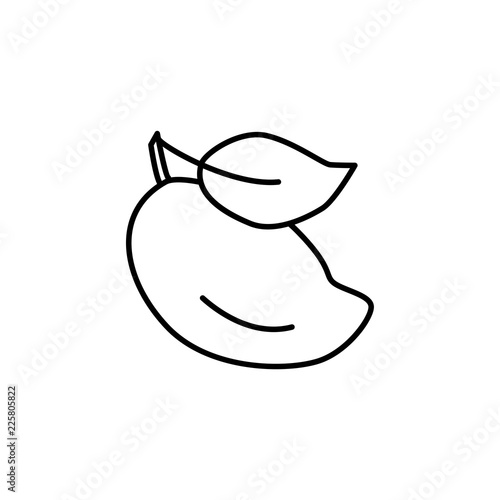 Black & white vector illustration of organic mango with leaf. Line icon of fresh tropic fruit. Vegan & vegetarian food. Health eating ingredient. Isolated object