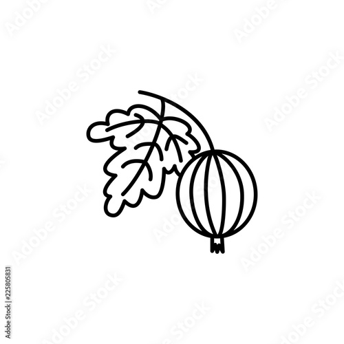 Black & white vector illustration of organic gooseberry with leaf. Line icon of fresh berry. Vegan & vegetarian food. Health eating ingredient. Isolated object